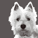 West Highland Terrier