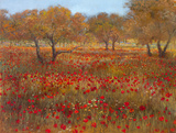 Poppy Fields In Red
