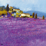 Wild Lavender  Provence
