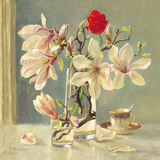 Magnolia and Red Tulip