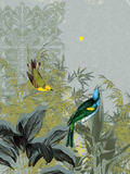Birdsong at Dawn