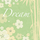 Dream