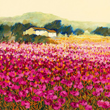 Le Jardin Rouge  Provence