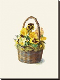 Sunshine Pansy Basket