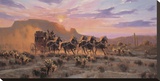 Racing The Sun