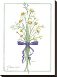 Chamomile