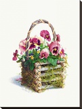 Log Cabin Pansy Basket