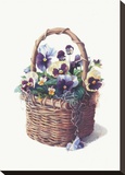 Rustic Pansy Basket