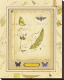 Nature Journal ll