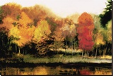 Colorful Shoreline