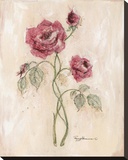 Miniature Rose II
