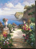 Tranquil Overlook