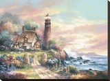 Evening Light