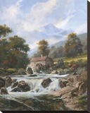 The Old Stone Mill