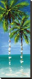 Coastal Palm IV