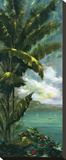 Palm Cove I