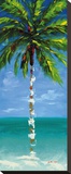 Coastal Palm III