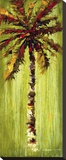 Coastal Palm VI