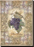 Vitis Vinifera Grape