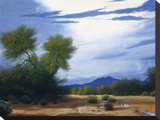 Palo Verde Wash