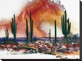 Desert Sundance - Mini