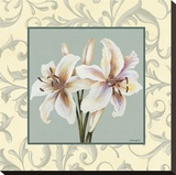 Lillies With Scroll