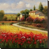 Tuscan Summer