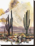 Sonoran Sentinels