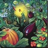 Within The Garden