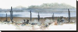 Saguaro Mist