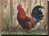 Bantie Rooster