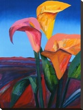 Calypso III
