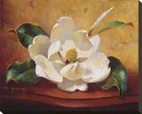 Magnolia Glow I