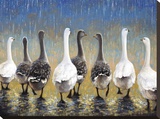 Waddling In The Rain
