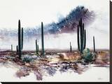Desert Monsoon Skies