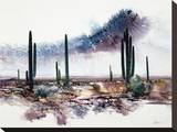 Desert Monsoon Skies