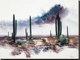 Desert Monsoon Skies