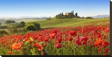 Orcia valley in spring  Tuscany (detail)