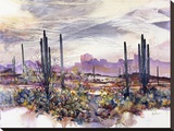 Springtime in the Desert