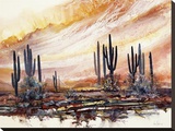 Desert Enchantment