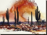 Desert Sundance