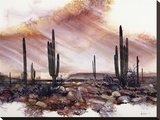 Desert Twilight