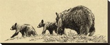 Black Bear (sepia)