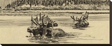 Moose in River (sepia)