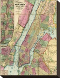 Map of New York and Adjacent Cities  c1874