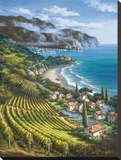 Vineyard Village by the Sea