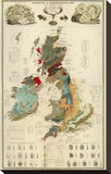 Composite: Geological and Palaeontological Map of the British Islands  c1854