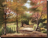 Autumn Country Road