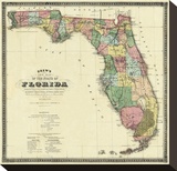 New Map of the State of Florida  c1870