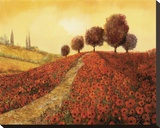 La Colina Dei Papaveri